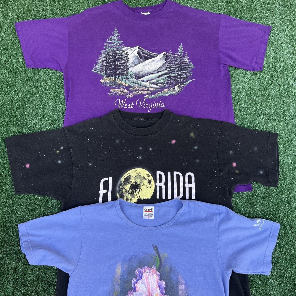 VTG State Nature T-Shirt Mens L / XL Blue Purple Black Florida West Virginia 90s